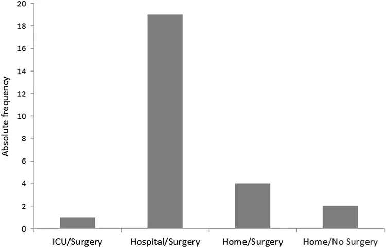 Ergebnis der Patientenbehandlung nach Hornussen-Unfällen