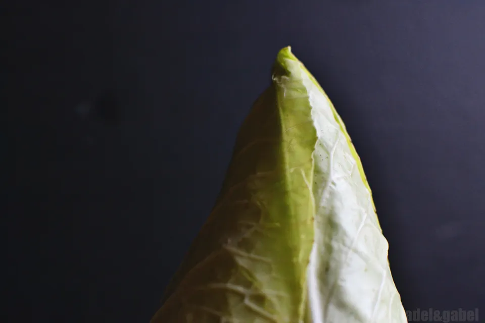 Frischer Weißkohl, eine Schlüsselzutat für die Füllung