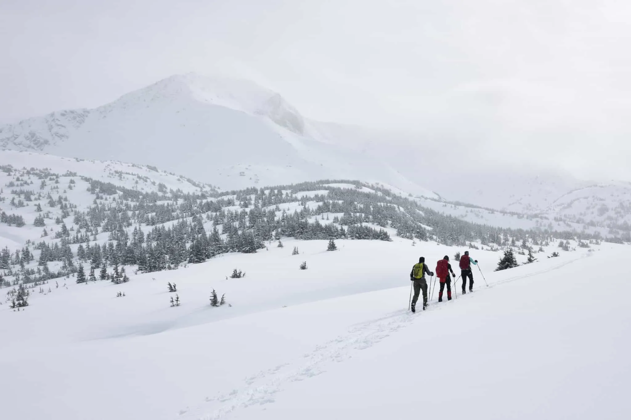 Paar wandert Hand in Hand auf einem Bergpfad