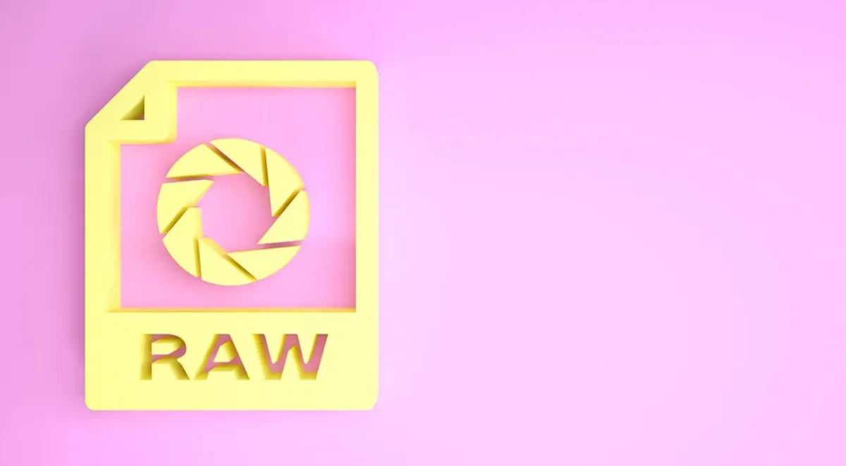 RAW-Dateien| Luminar Neo Blog