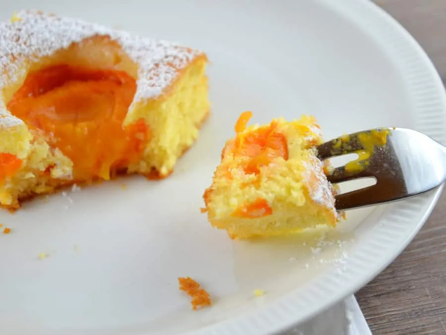 Saftiger Obstkuchen mit Rührteig