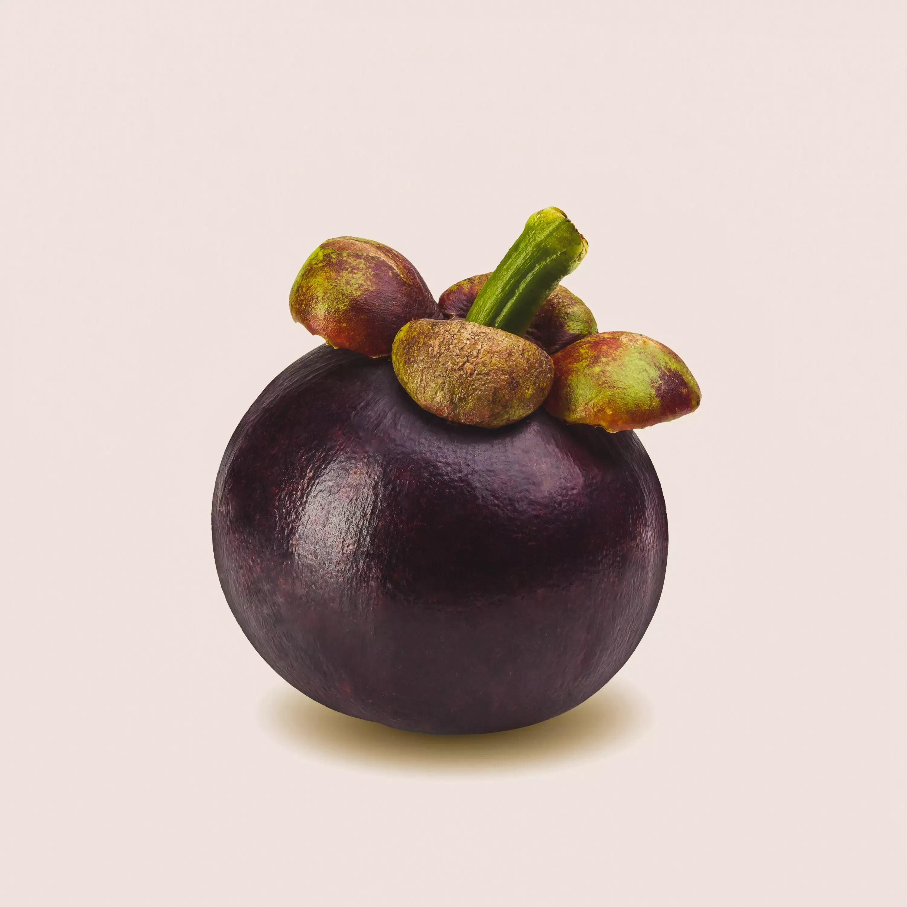 Zwei aufgeschnittene Mangosteen-Hälften mit sichtbarem weißen Fruchtfleisch, umgeben von der violetten Schale