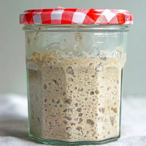 Aktiver Roggensauerteig im Glas