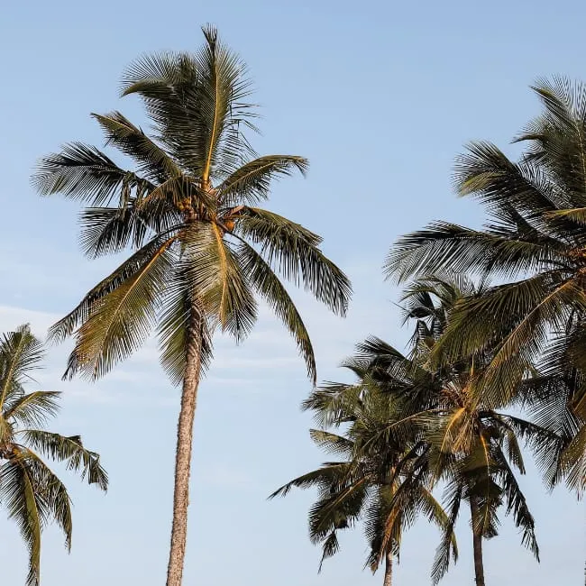 Allgemeine Reisetipps für deine Weltreise