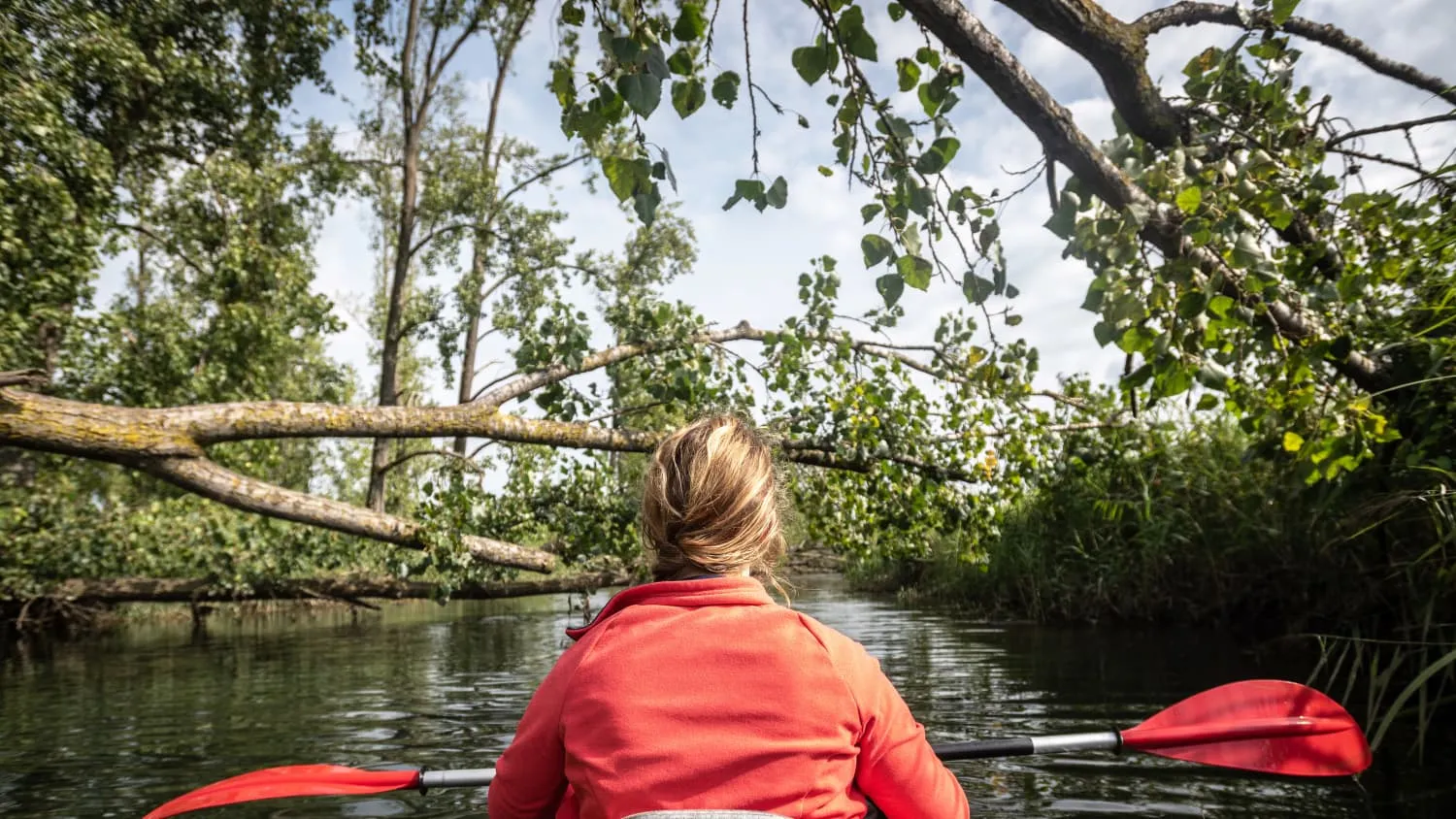 Amphibische Wunderwelt: Kanutour durch den Nationaal Park De Biesbosch