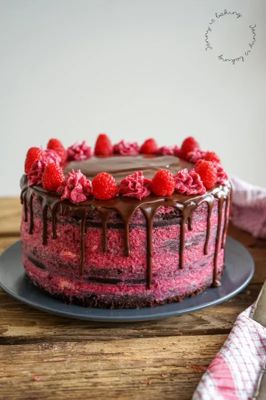 Ansicht eines aufgeschnittenen Stücks Himbeer-Schoko-Torte mit mehreren Schichten