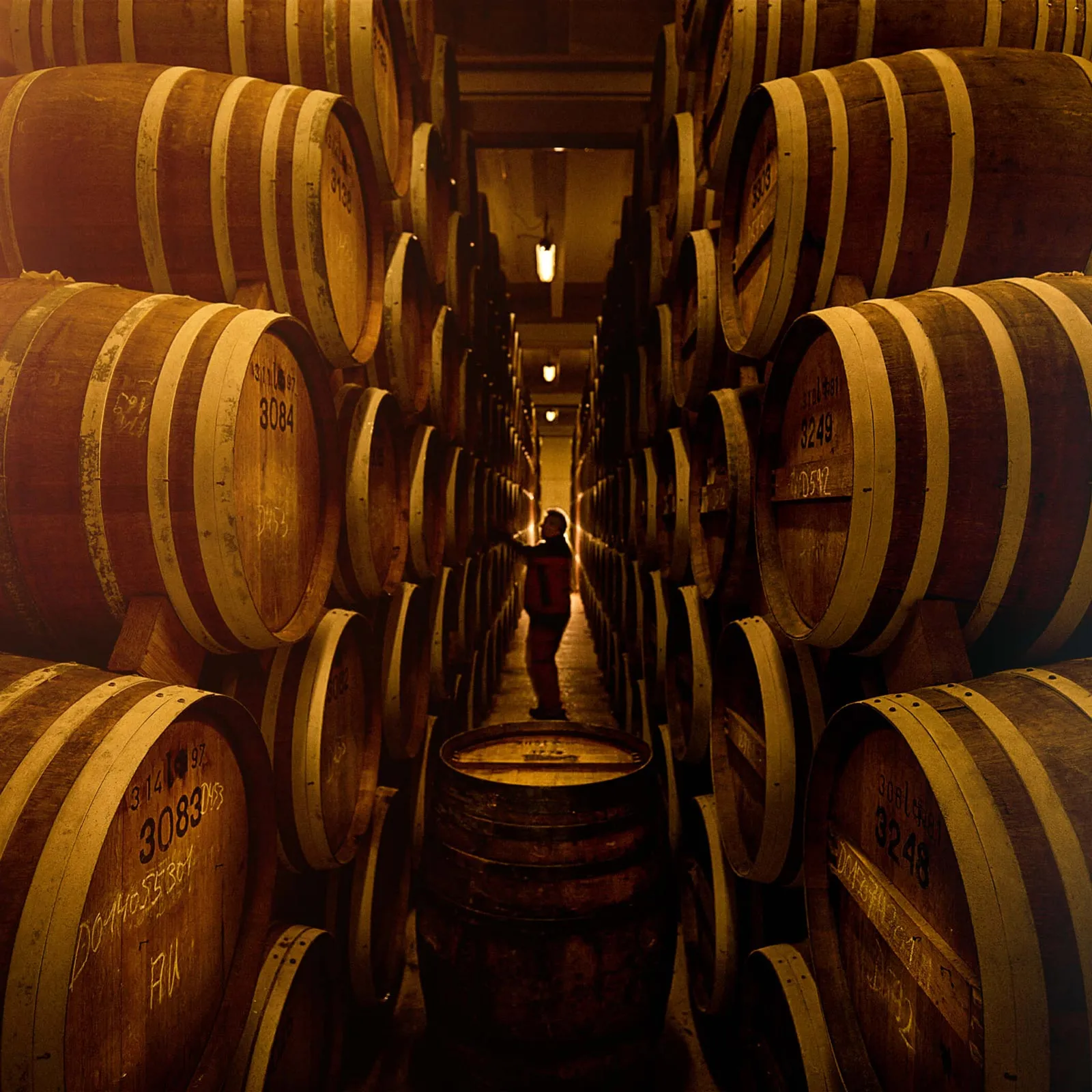 Asbach Fässer in der Reifung