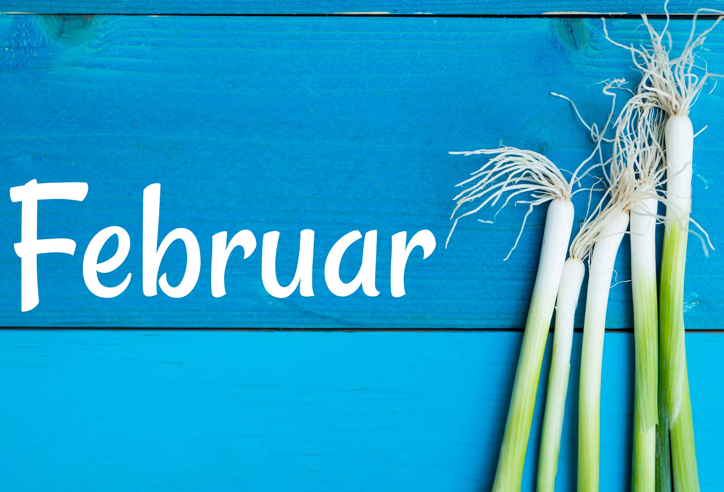 Auf blauem Holzgrund steht neben drei Frühlingszwiebeln das Wort „Februar“.
