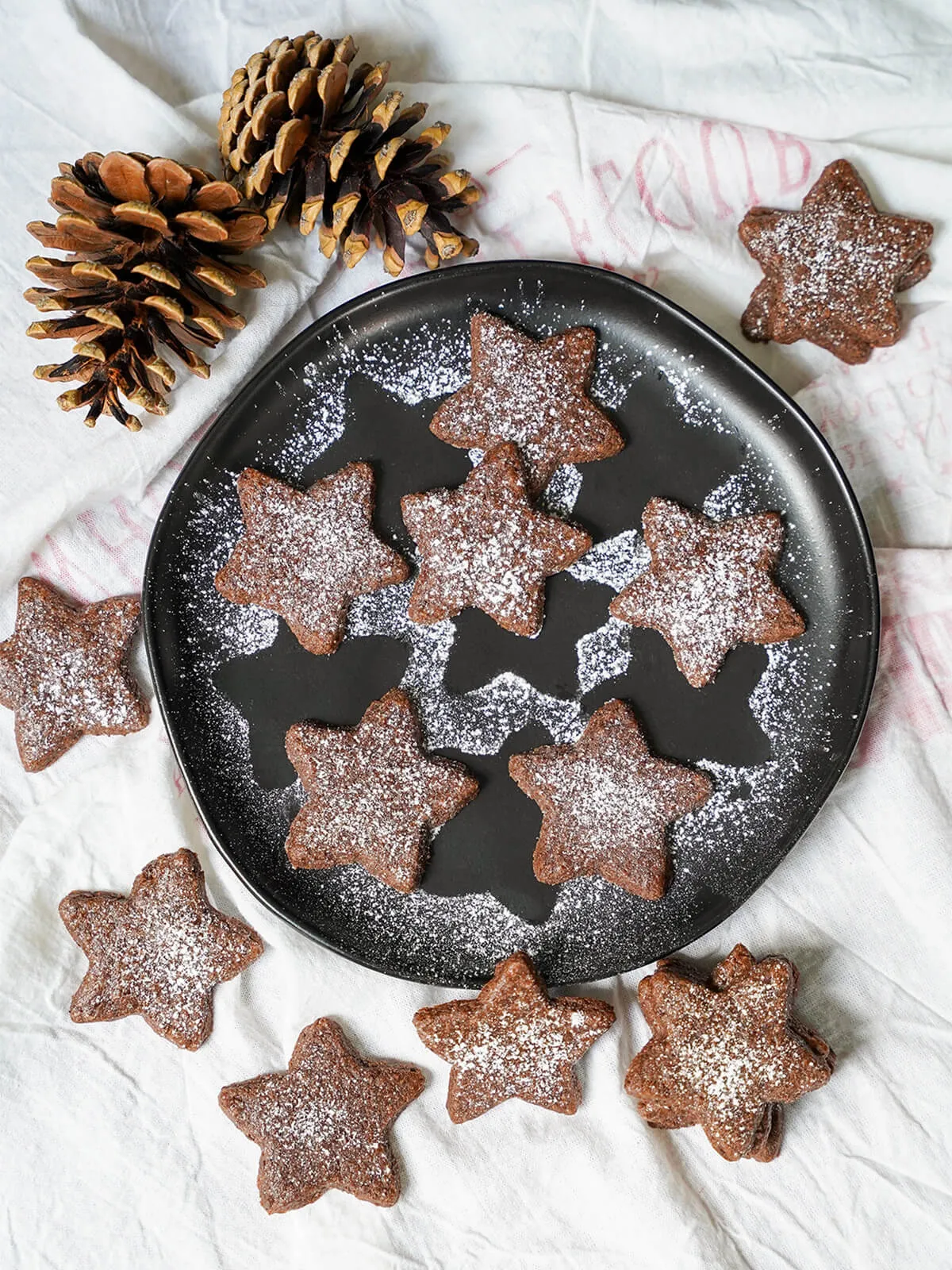 Aufnahme von oben auf einen Teller Basler Brunsli Schoko-Mandel-Kekse, bestäubt mit Puderzucker.