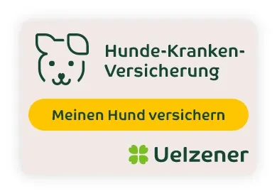 Banner Hunde-Kranken-Versicherung