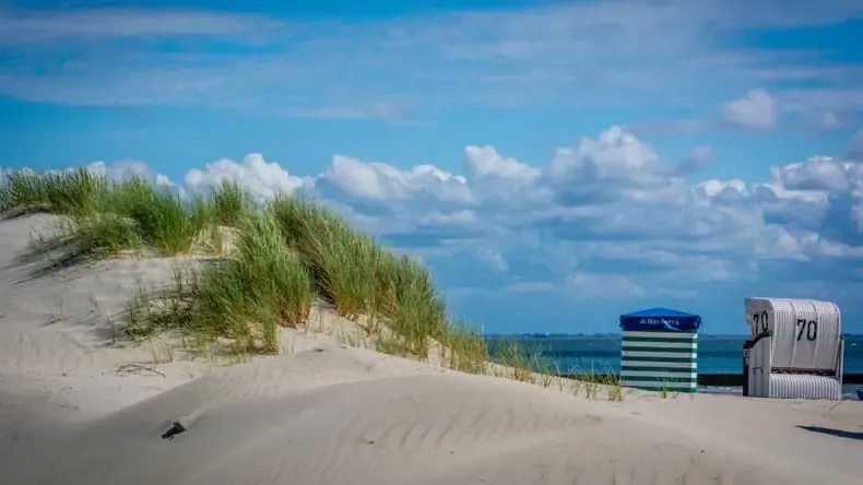Beeindruckende Dünenlandschaft und Salzwiesen auf Borkum