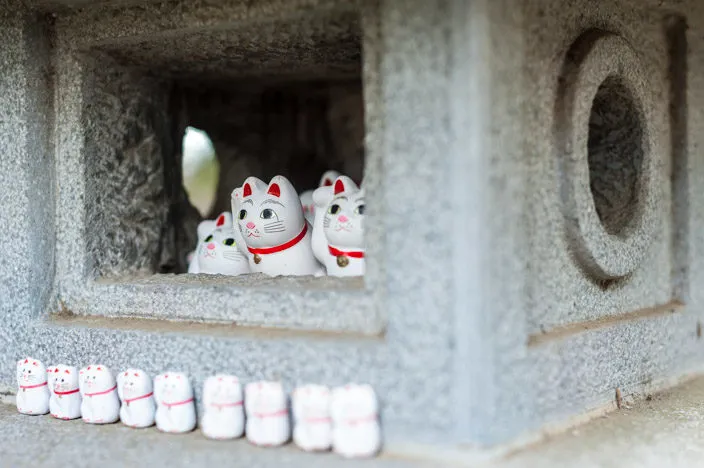 Besucher fotografieren die Winkekatzen im Gotokuji Tempel