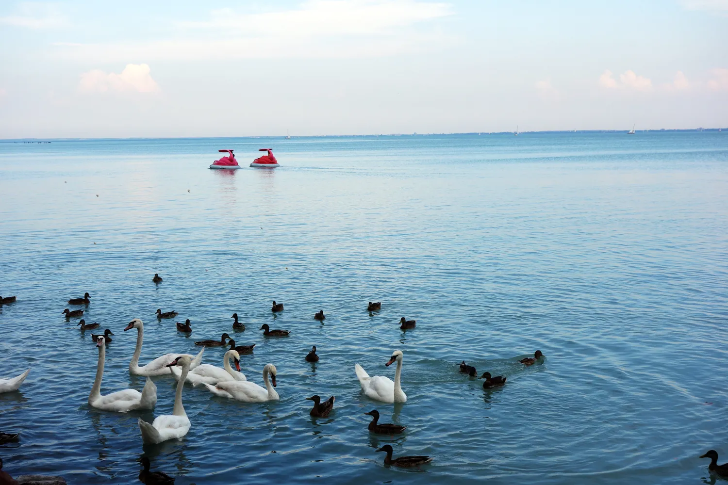 Blick über den Bodensee an einem sonnigen Sommertag