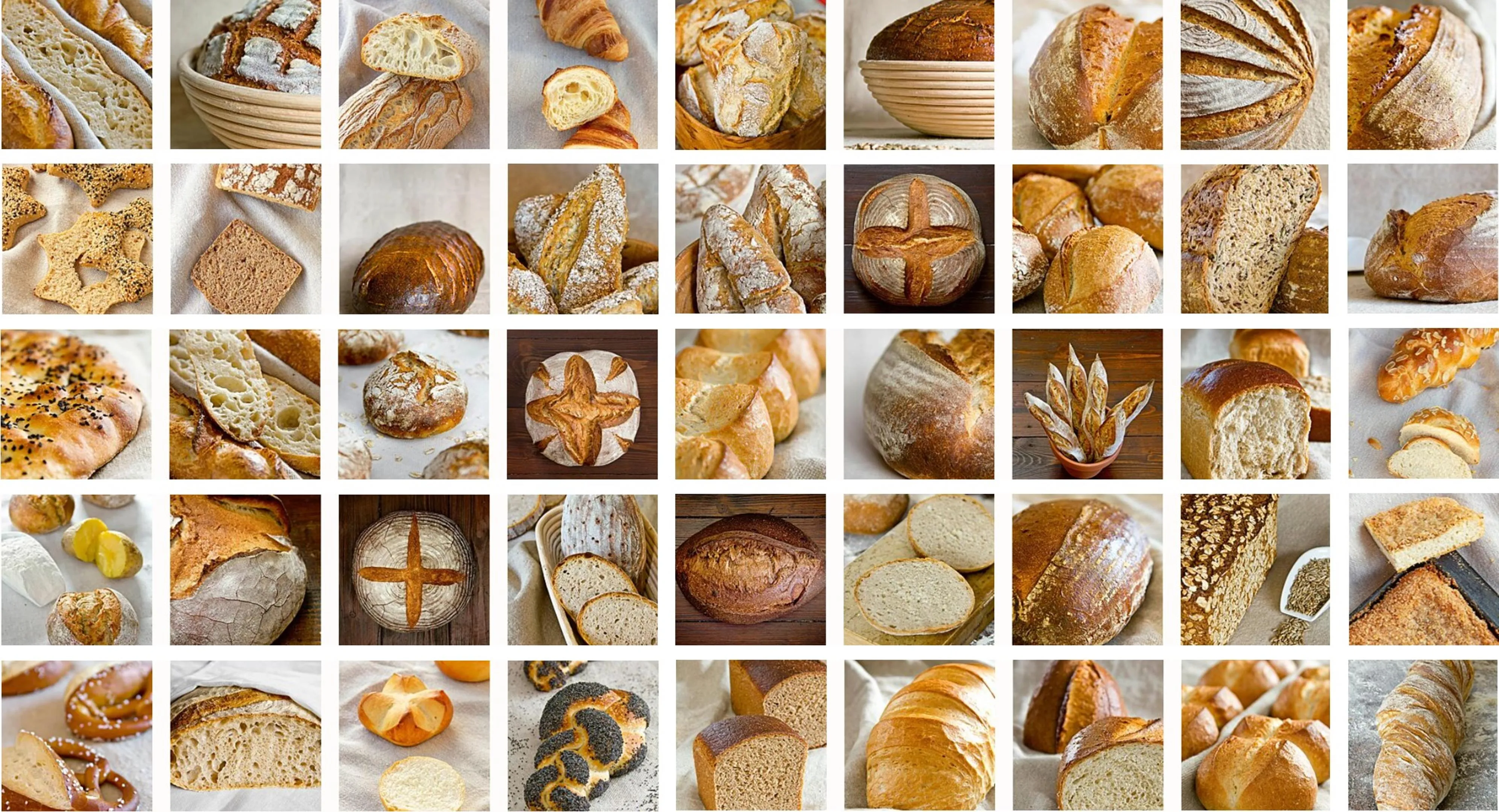Collage der Backergebnisse aus dem Brotbackbuch Nr. 1