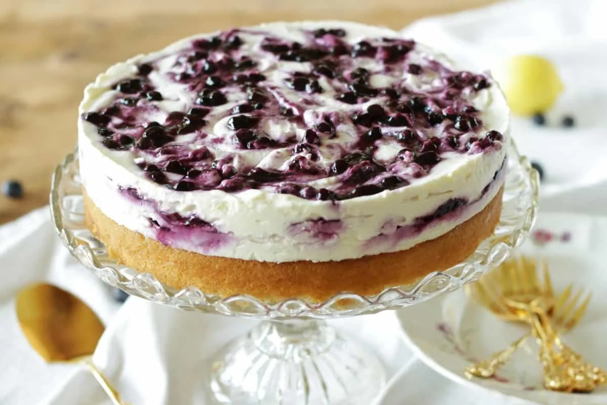 Cremige Blaubeer-Quark-Torte in der Springform vor dem Servieren
