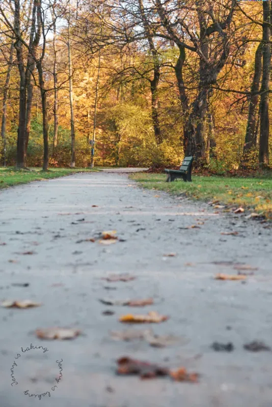 Der Englische Garten in München im Herbstlicht