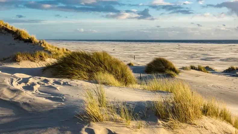 Der kilometerlange Kniepsand und Dünen auf Amrum