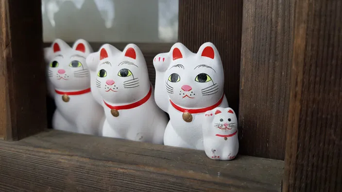 Dichte Ansammlung von Winkekatzen im Gotokuji Tempel