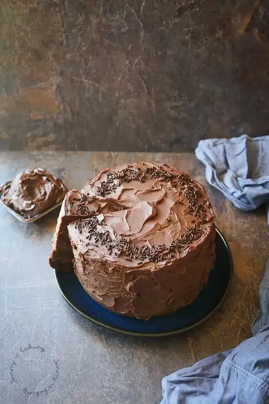 Ein Anschnitt der Schoko-Zucchini-Torte, die Füllung und die saftigen Böden zeigend