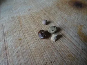 Ein Fremdkörper, wie ein kleiner Stein, der im Kaffeemahlwerk steckt