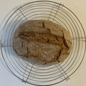 Ein frisch angesetzter Sauerteig Starter