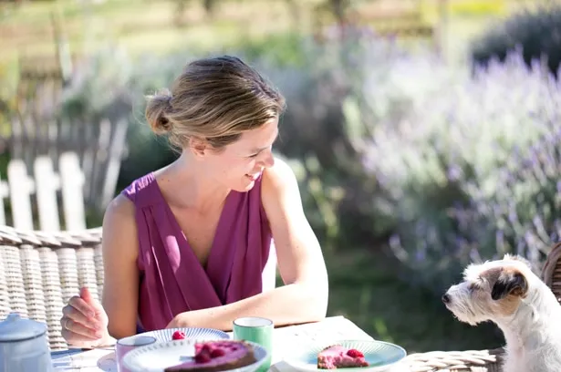 Ein Himbeer-Kuchen, frisch gebacken, mit Puderzucker bestäubt auf einem Tisch