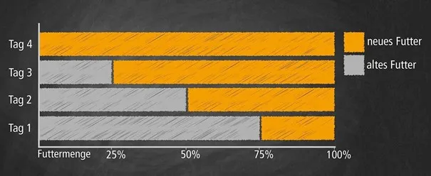 Ein Hund frisst aus zwei Näpfen, die den Übergang der Futterumstellung symbolisieren