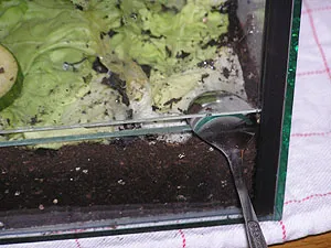 Ein schmaler Spalt lässt Kohlendioxid entweichen