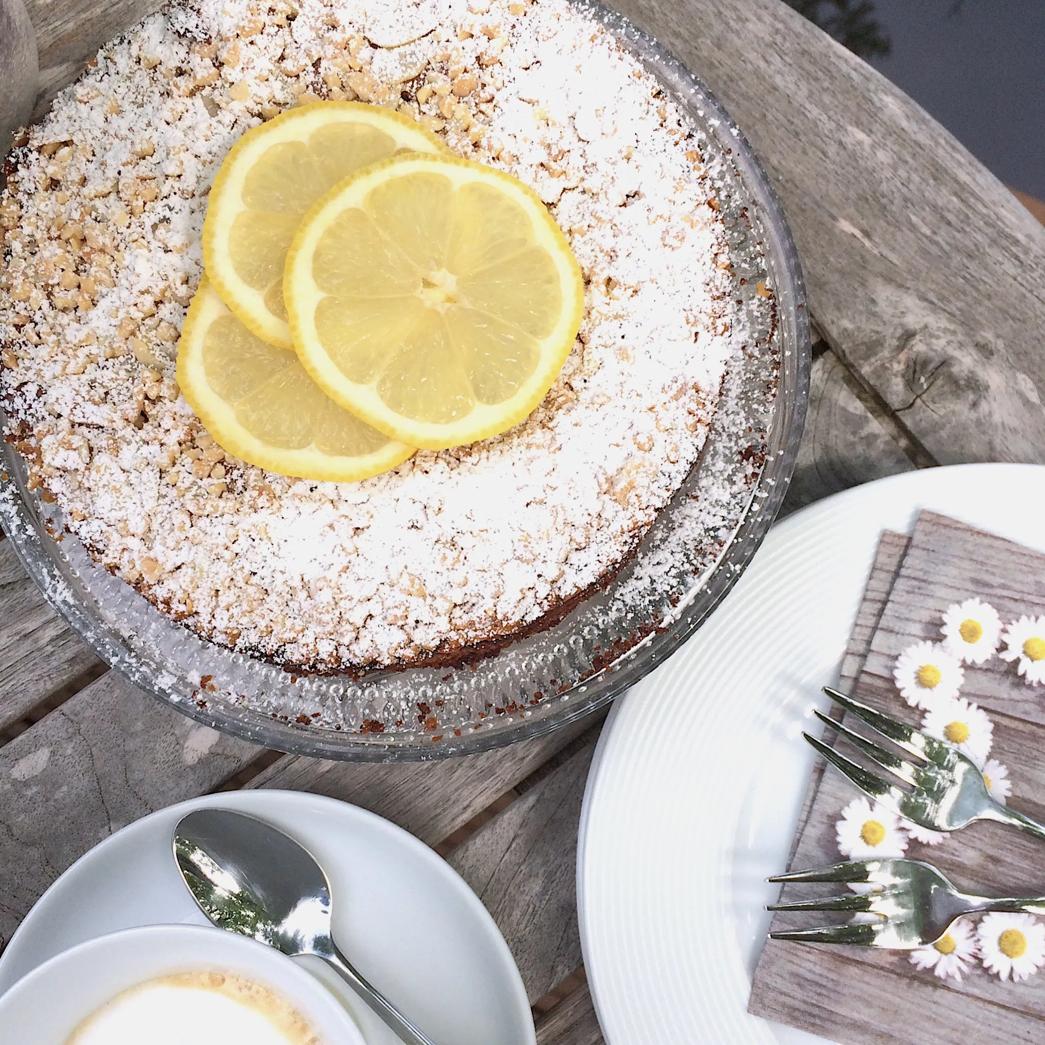 Ein Stück glutenfreier Zitronen-Mandelkuchen auf einem Teller mit Zitronenscheiben