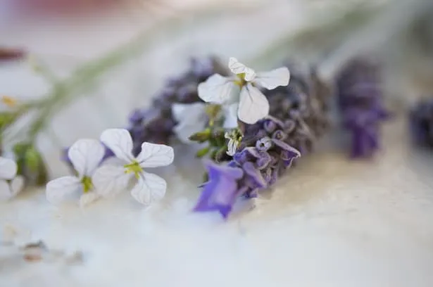 Ein Stück Himbeer-Kuchen auf einem Holzbrett, dekoriert mit frischen Beeren
