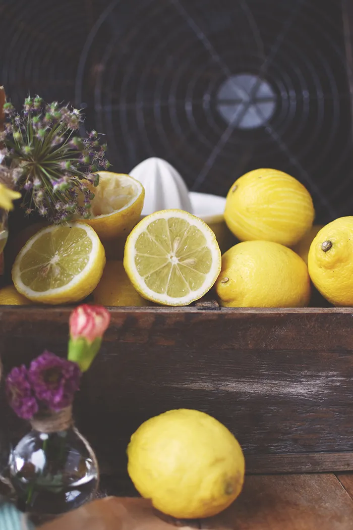 Ein Stück saftiger Zitronen-Mohn-Kuchen auf einem Teller