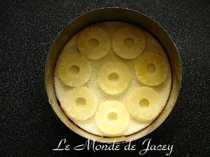 Ein Tortenboden mit Ananasscheiben belegt, umgeben von einem Tortenring