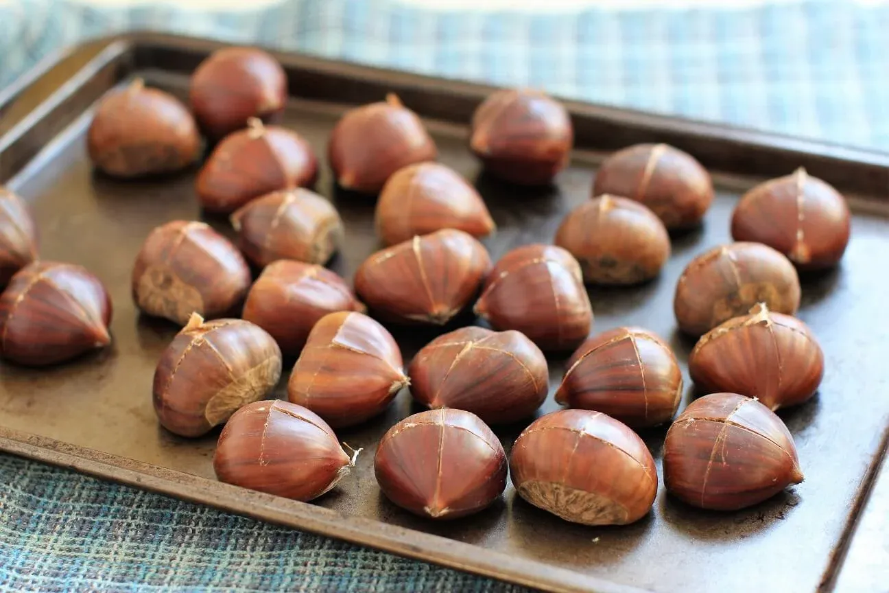 Eine einzelne Schicht Maronen auf einem Backblech