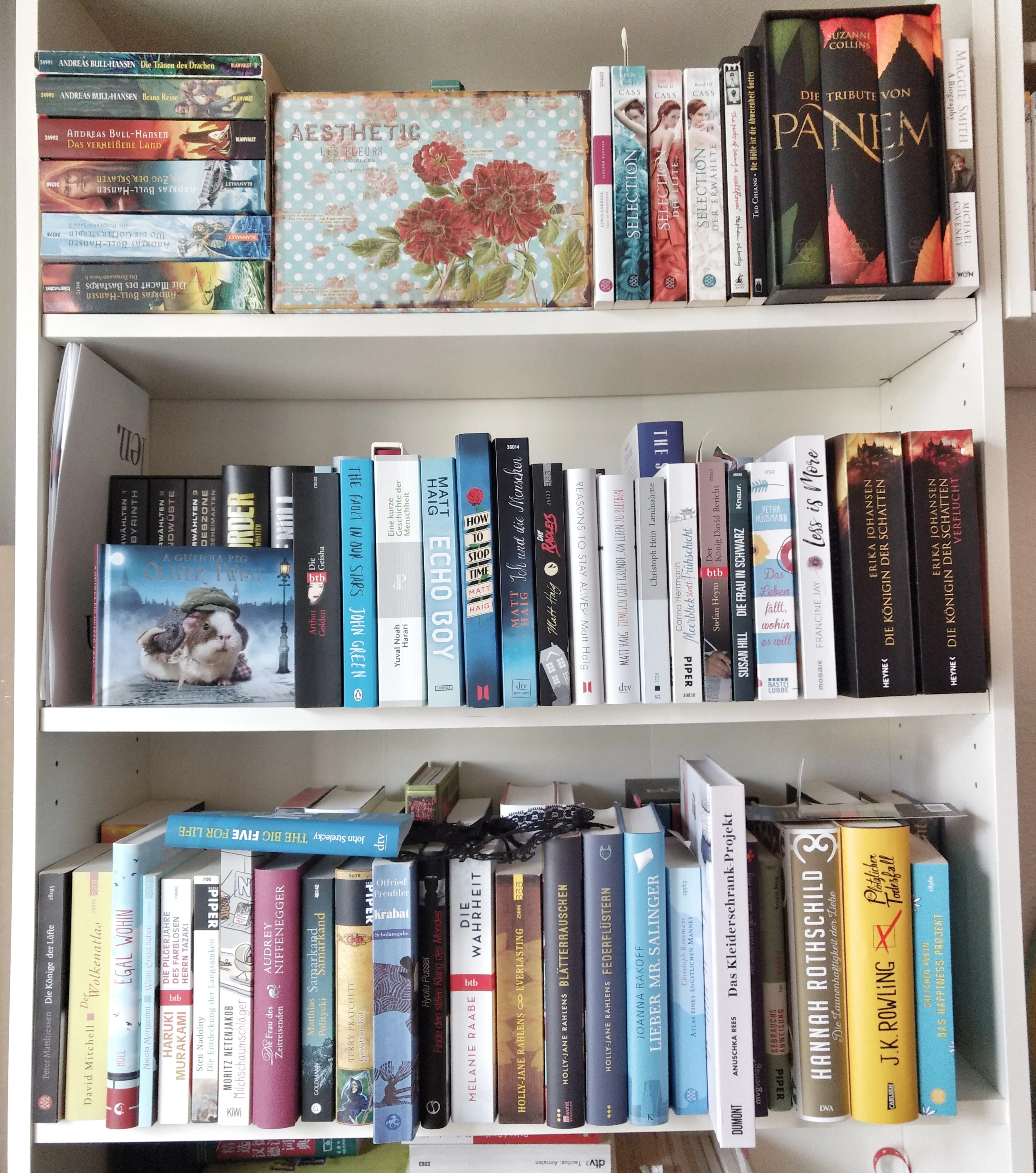 Eine Person hält ein Buch in den Händen, vor dem Hintergrund eines Bücherregals