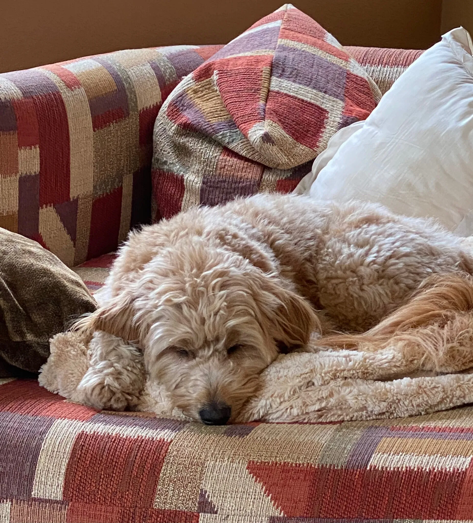 Eine Person liest ein Buch laut vor, um es zu überarbeiten