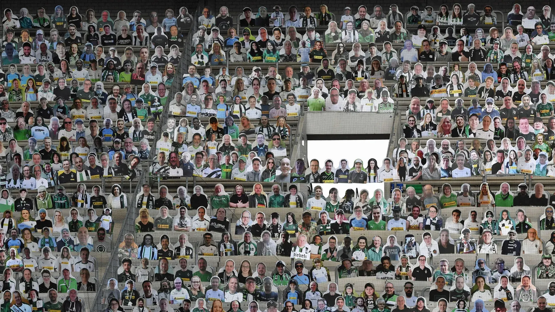 Fans von Borussia Dortmund feiern in ihrem Stadion