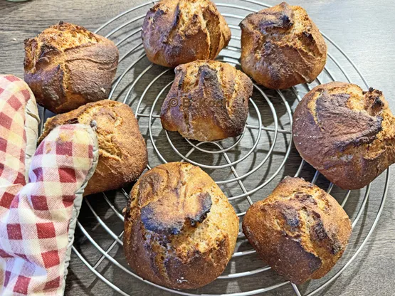 Fertig gebackene Dinkelbrötchen auf einem Backrost