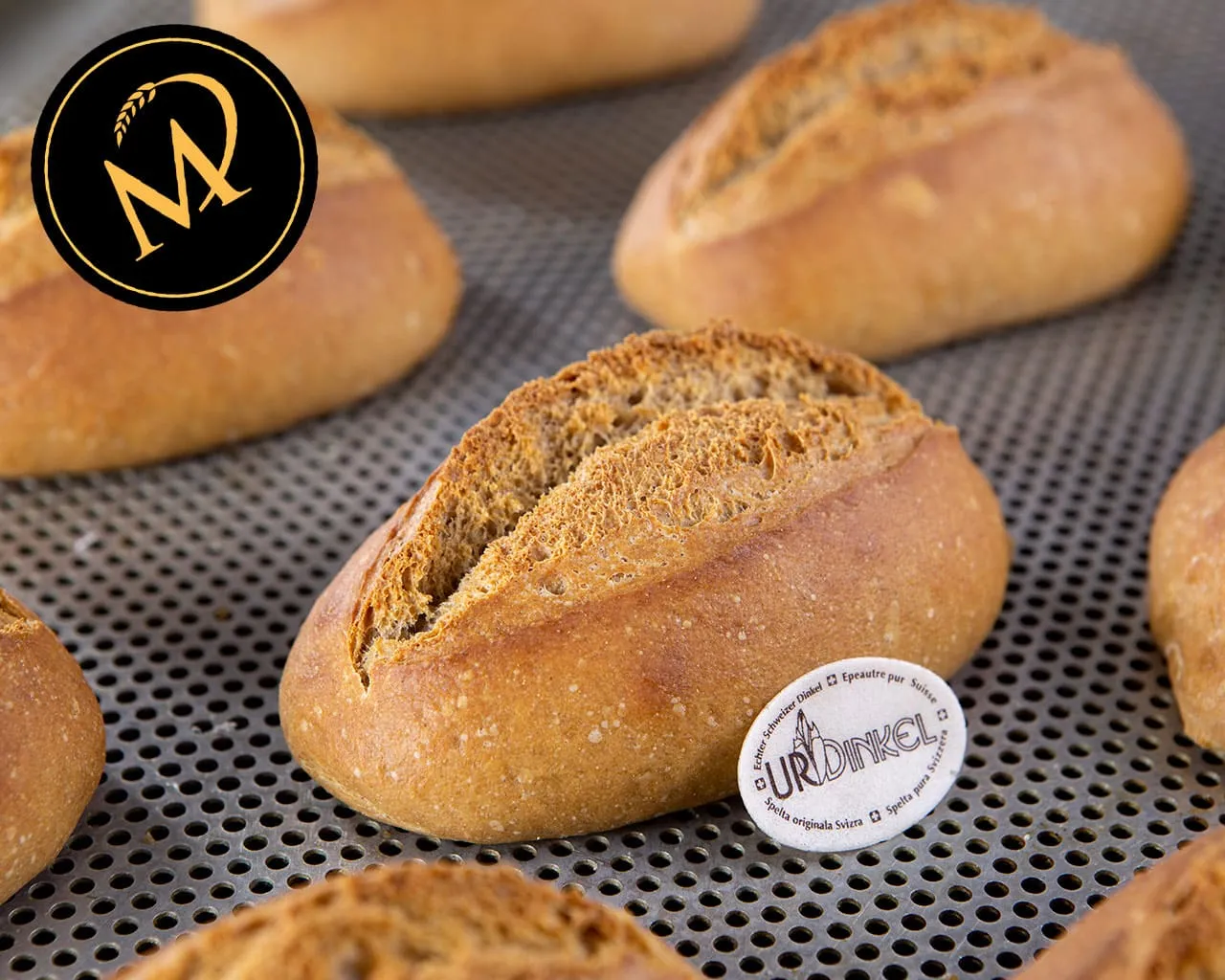 Fertig gebackene UrDinkel Brötchen auf einem Backgitter