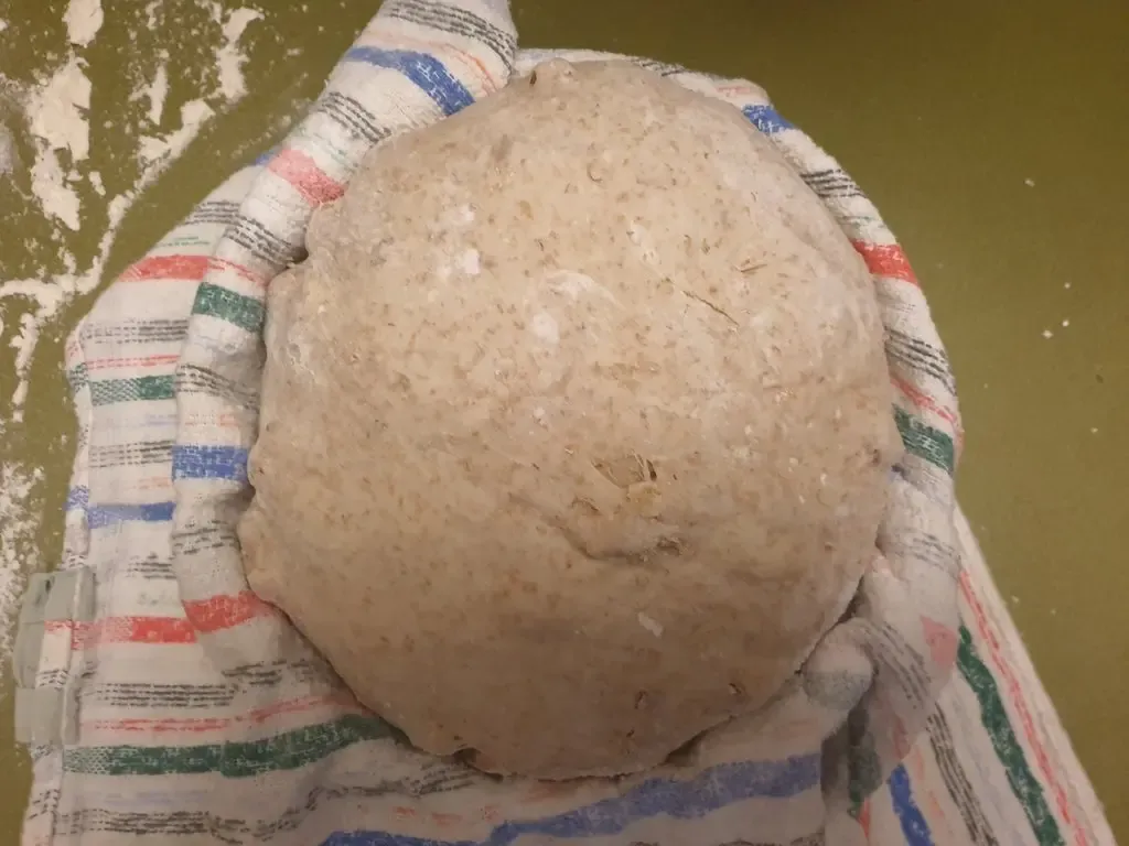 Fertig gegangener Teig für das Walnussbrot