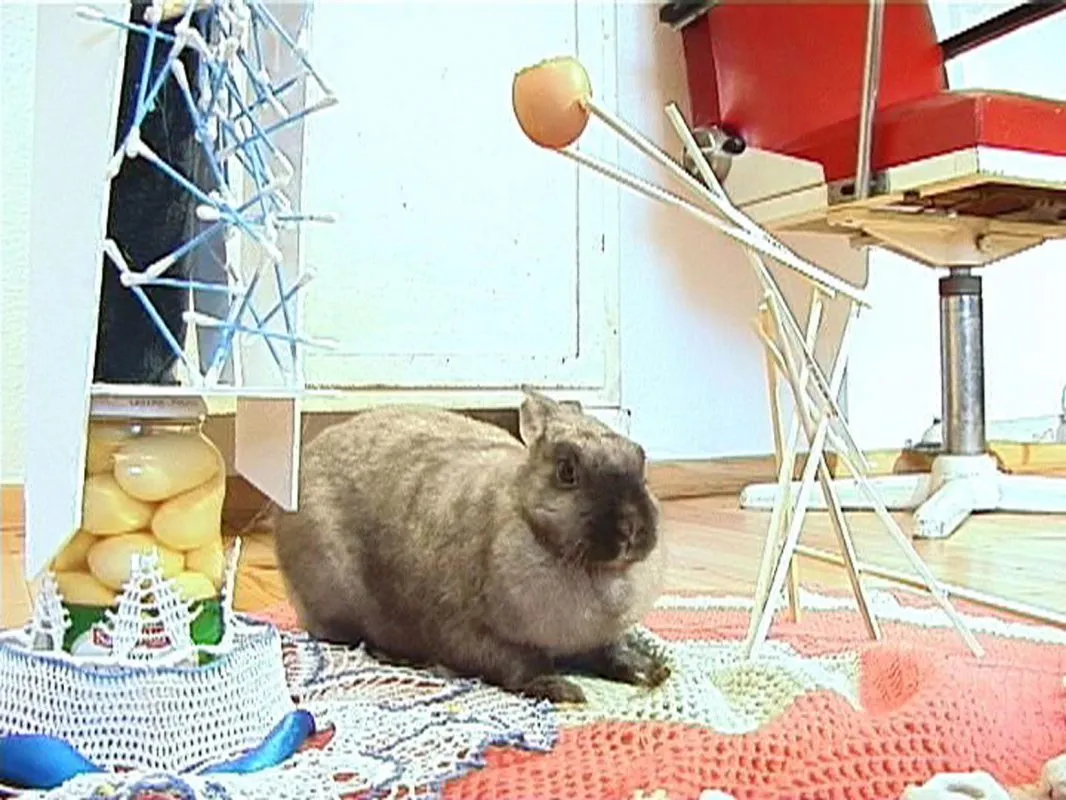 Filmstill aus dem Video "Gast" (2004) mit einem Kaninchen