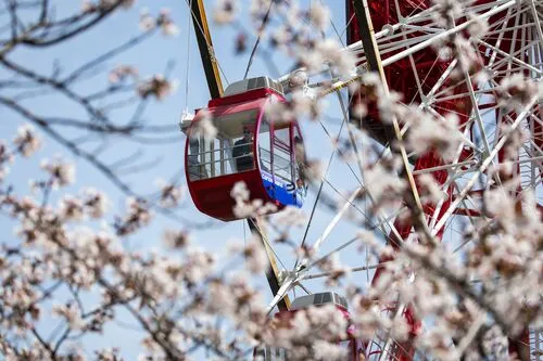 FORMULA 1 ARAMCO JAPANESE GRAND PRIX 2026 Teaser Image