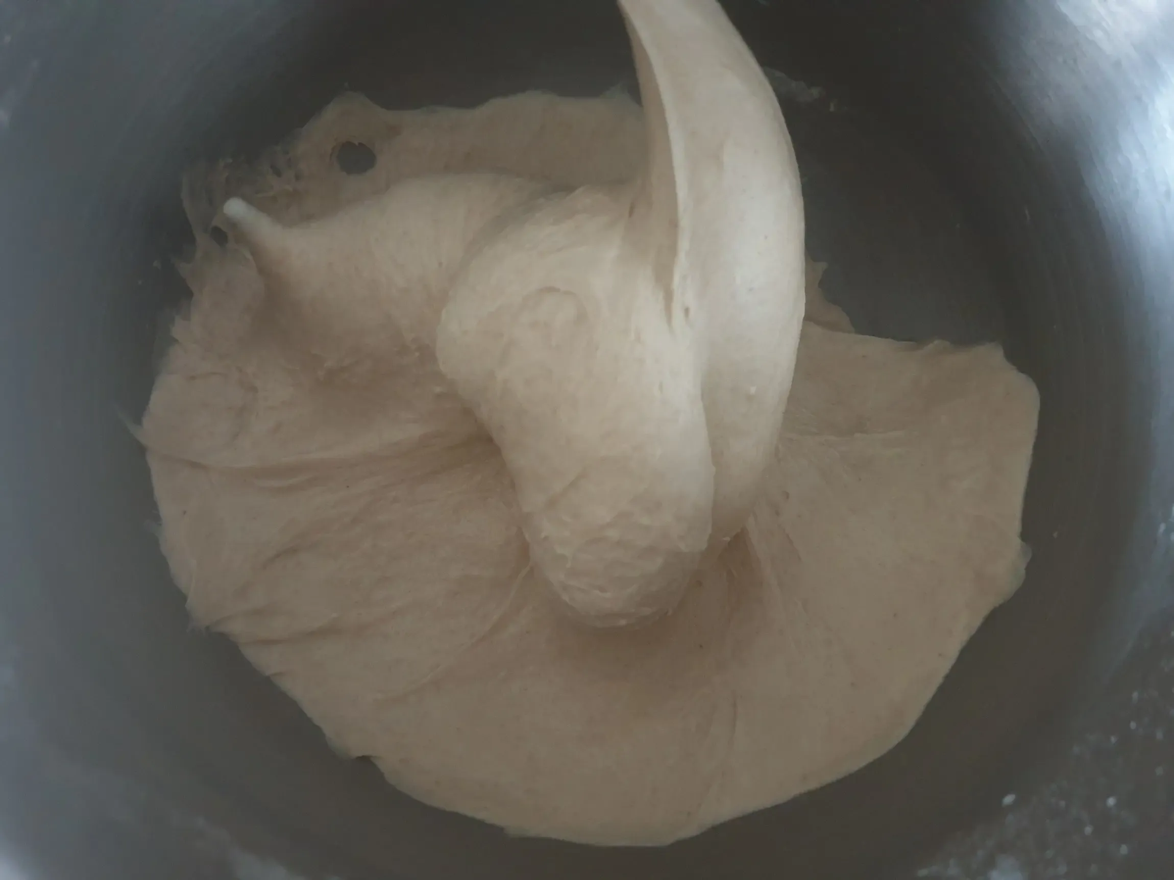 Frisch gekneteter Brotteig in einer Schüssel