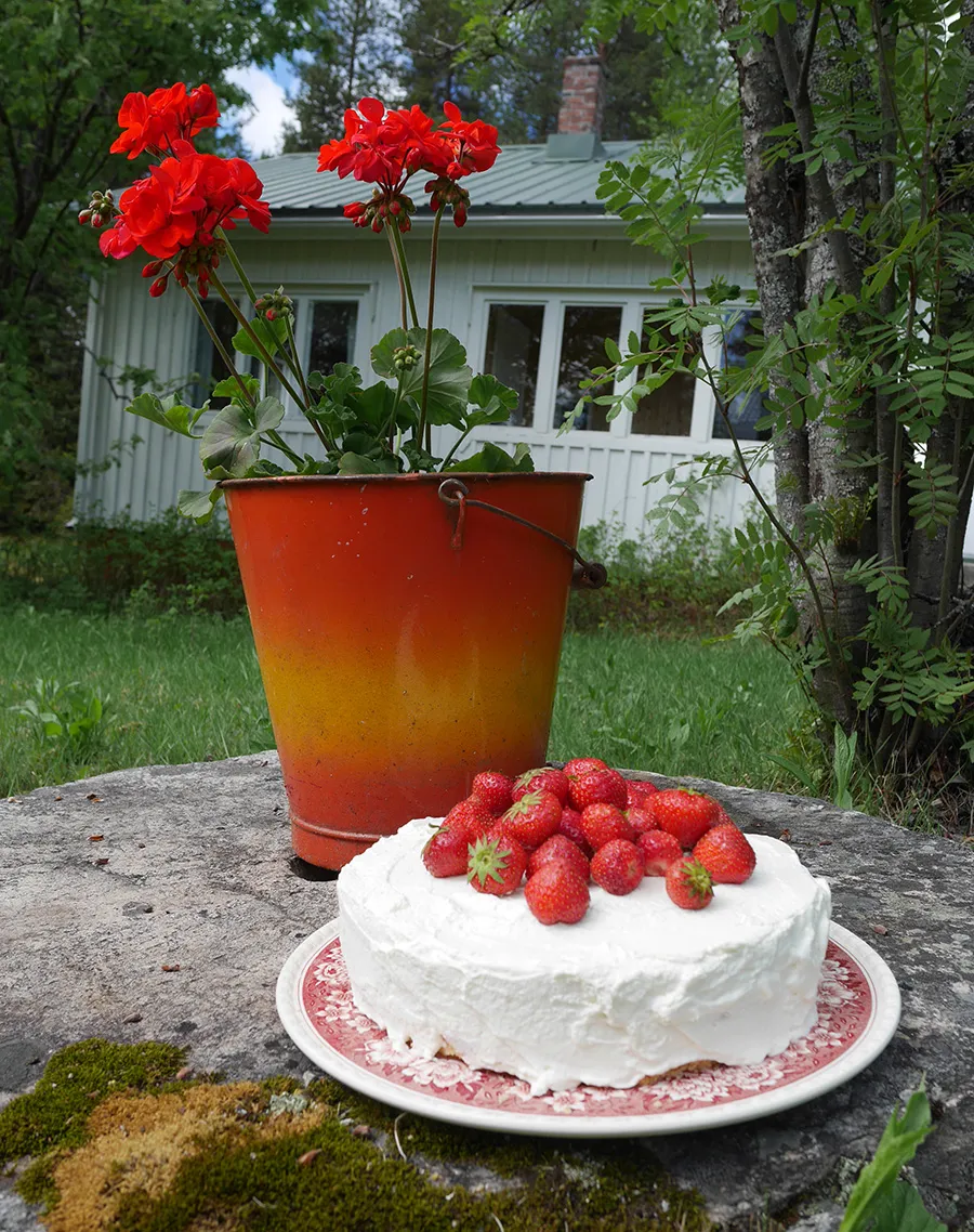 Frisch zubereitete schwedische Erdbeertorte mit Sahne und vielen frischen Erdbeeren auf einem Holztisch