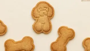 Gebackene Kekse für Hunde.