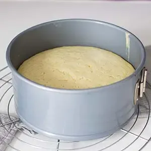 Gebackener Biskuitboden