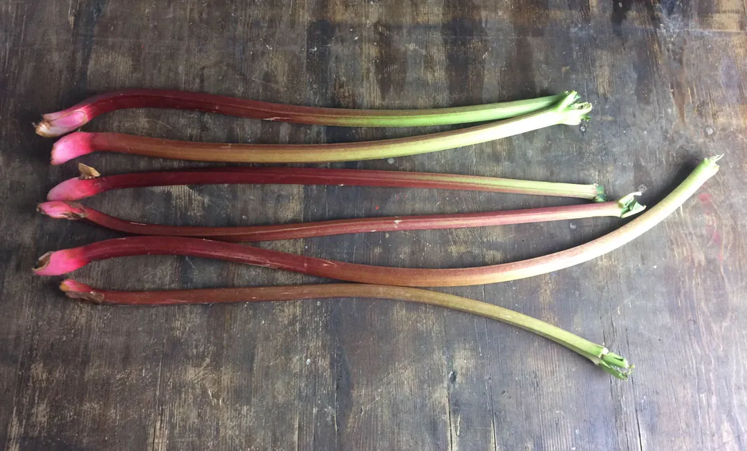 Gekochter Rhabarber für die Füllung der veganen Sahnetorte