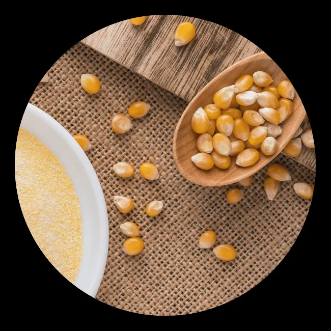 Gelbe Maiskörner in einem Holzlöffel und verstreut auf Jutestoff neben einer weißen Schale mit Maismehl