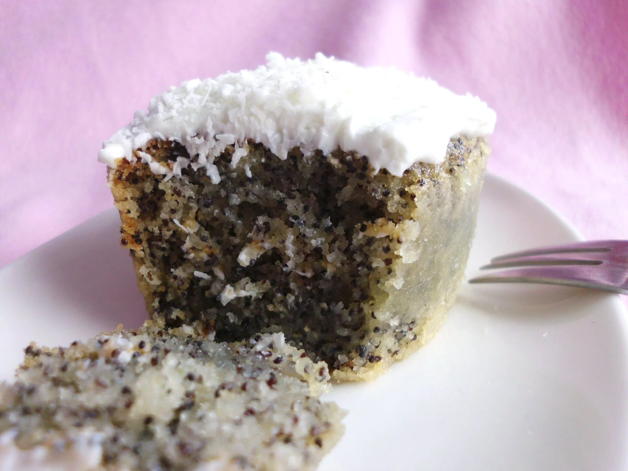 Gesamter türkischer Mohnkuchen in einer Auflaufform, frisch gebacken und gesirupt