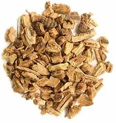 Getrocknete Enzianwurzel, der Ursprung des bitteren Extrakts