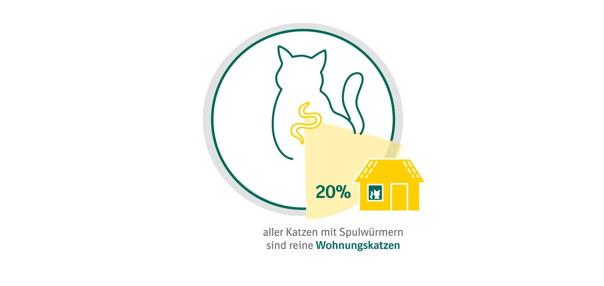 Grafik Anteil Spulwürmer bei Hauskatzen